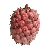 HONJE