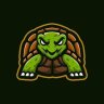 turtlesJR
