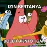 Alvi_put