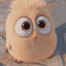 Codocol