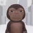 Kimi881